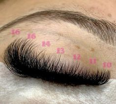 Cat Eye Long Lash Extensions, 13-16 Mm Lash Extensions, Individual Lashes Styles Hybrid, Volume Lash Extensions Mapping D Curl, Lash Length Extensions, Lash Looks Eyelash Extensions, 6x6 Closure Wig Hairstyles, Lash Extensions Styles Mapping, Lash Sets With Mapping