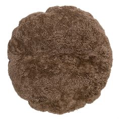 a brown round object on a white background