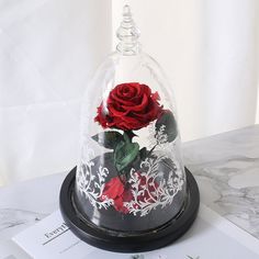 a red rose under a glass dome on top of a table