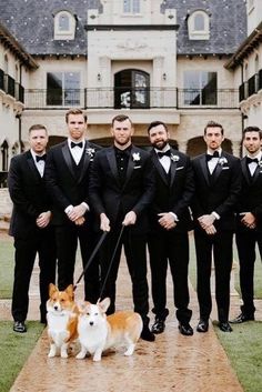 a group of men in tuxedos posing for a photo with a dog on a leash