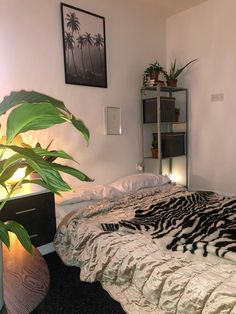 a bedroom with a zebra print comforter on the bed and plants in the corner