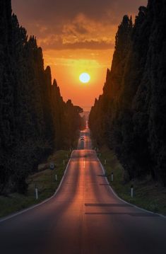 the sun is setting over an empty road with trees on both sides and cars driving down it