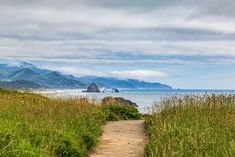 a path leading to the ocean with mountains in the distance and grass growing on both sides