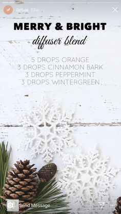 Christmas Diffuser Blends, Wintergreen Essential Oil, Essential Oils Collection, Essential Oils 101, Essential Oils Herbs, Essential Oil Diffuser Recipes