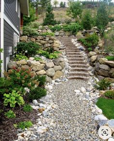 a stone path leading to a house in the woods