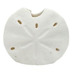 a white ceramic vase with holes in the center on a white background for use as an ornament