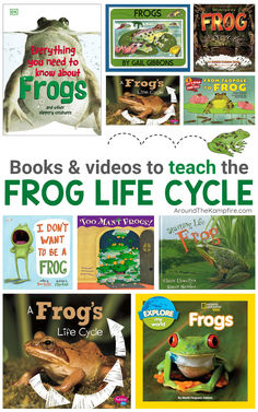 frog life cycle books for kids Teaching Fluency, Frogs For Kids, Life Cycle Of A Frog, 1st Grade Activities