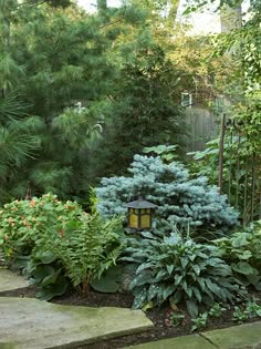 a garden with trees and plants in the background, along with stone steps leading up to it