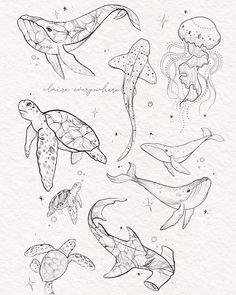 an ink drawing of sea animals and jellyfishs in black and white on paper