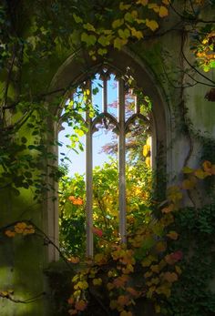 an old building with ivy growing on it's walls and a window in the middle