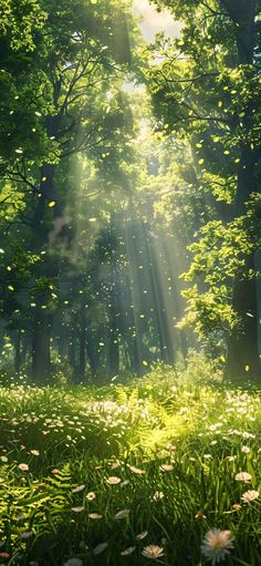 the sun shines brightly through the trees and grass in this green forest filled with daisies