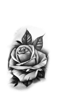 a black and white drawing of a rose