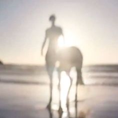 a blurry photo of a person and a horse on the beach