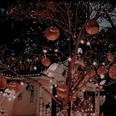 a tree with pumpkins hanging from it's branches in front of a house