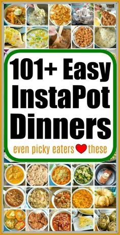 the cover of 100 days of different instant pot dinners, with images of different dishes