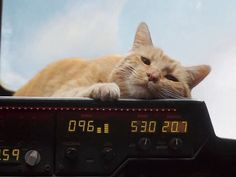 a cat laying on top of a radio with the time displayed in front of it