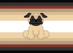 And 11 striped flag with grey at the top and bottom with a red right after. Then there are various shades of a tan or peach color with a large white stripe in the center with a picture of the pug from webkinz in the middle of the flag Non Gender