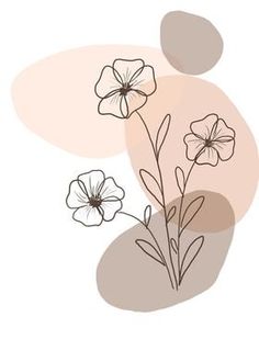 three flowers on a white background with brown and pink circles in the middle, one flower is