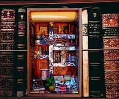 an open book case filled with lots of books