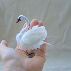 a small white bird sitting on top of someone's hand in front of a white background