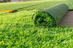 a roll of grass laying on the ground