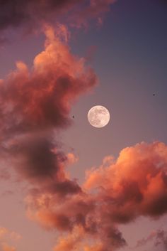 the moon is shining brightly in the sky with pink clouds and birds flying around it