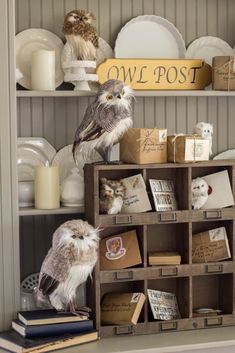 two stuffed owls sitting on top of boxes in front of a shelf filled with books and other items