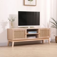 an entertainment center with a flat screen tv on it's stand in front of a potted plant