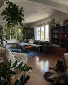 a living room filled with furniture and a dog laying on the floor