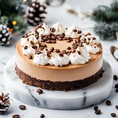 a chocolate cheesecake topped with whipped cream and chocolate chips