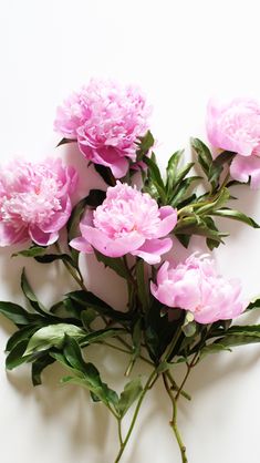 pink flowers are arranged on a white surface