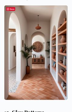 an image of a hallway with shelves and potted plants