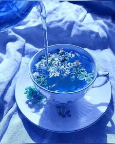 a bowl filled with blue liquid sitting on top of a white plate