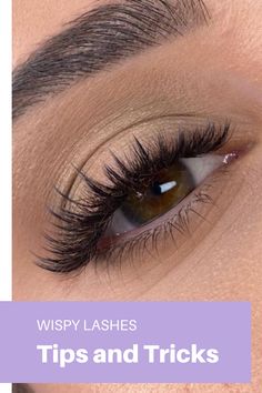 Lashes Tips, Lash Lengths, Lash Fan, Winged Lashes, Lash Tips