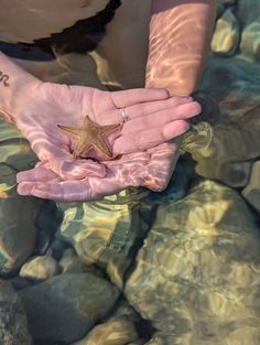 a person holding a starfish in their hand on the water's surface,