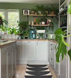 a kitchen filled with lots of green plants