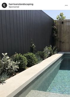 an empty swimming pool surrounded by greenery next to a wooden fence and black wall