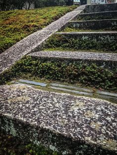 some steps that are covered in moss and grass