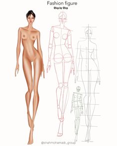 a female mannequin is shown in three different positions, including the torso and head