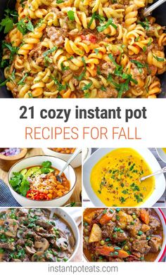 21 cozy instant pot recipes for fall that are easy to make, delicious and tasty