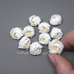 small white flowers are being held by a person's hand on a gray surface