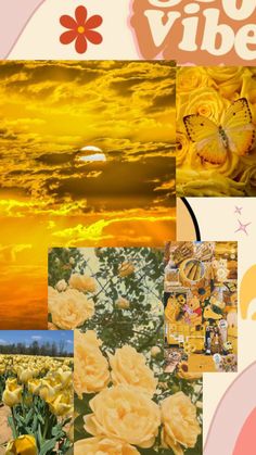 a collage of yellow flowers with the sun setting in the background and an orange sky