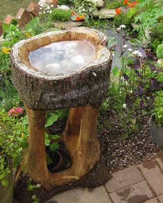 a tree stump is filled with water in a garden