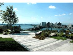 a view of a city and the water from a park