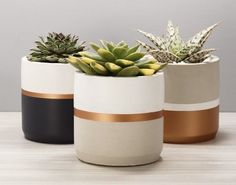 three pots with succulents in them on a table