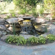 a small pond surrounded by rocks and plants