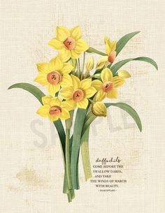 yellow daffodils with green leaves and the words, flowers are in english