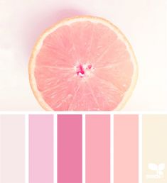 a pink grapefruit color scheme with white background