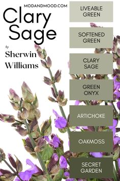 the color scheme for clay sage is shown in shades of green, purple and gray