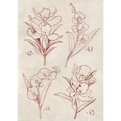 four different types of flowers are shown in red ink on white paper, with numbers